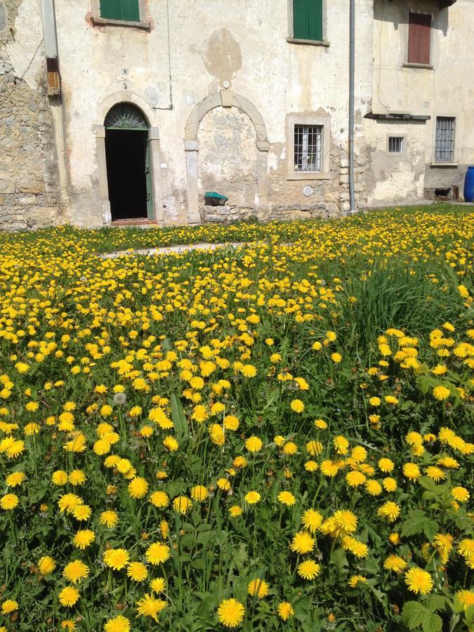 B&B Come Un Tempo Costa di Serina Dış mekan fotoğraf